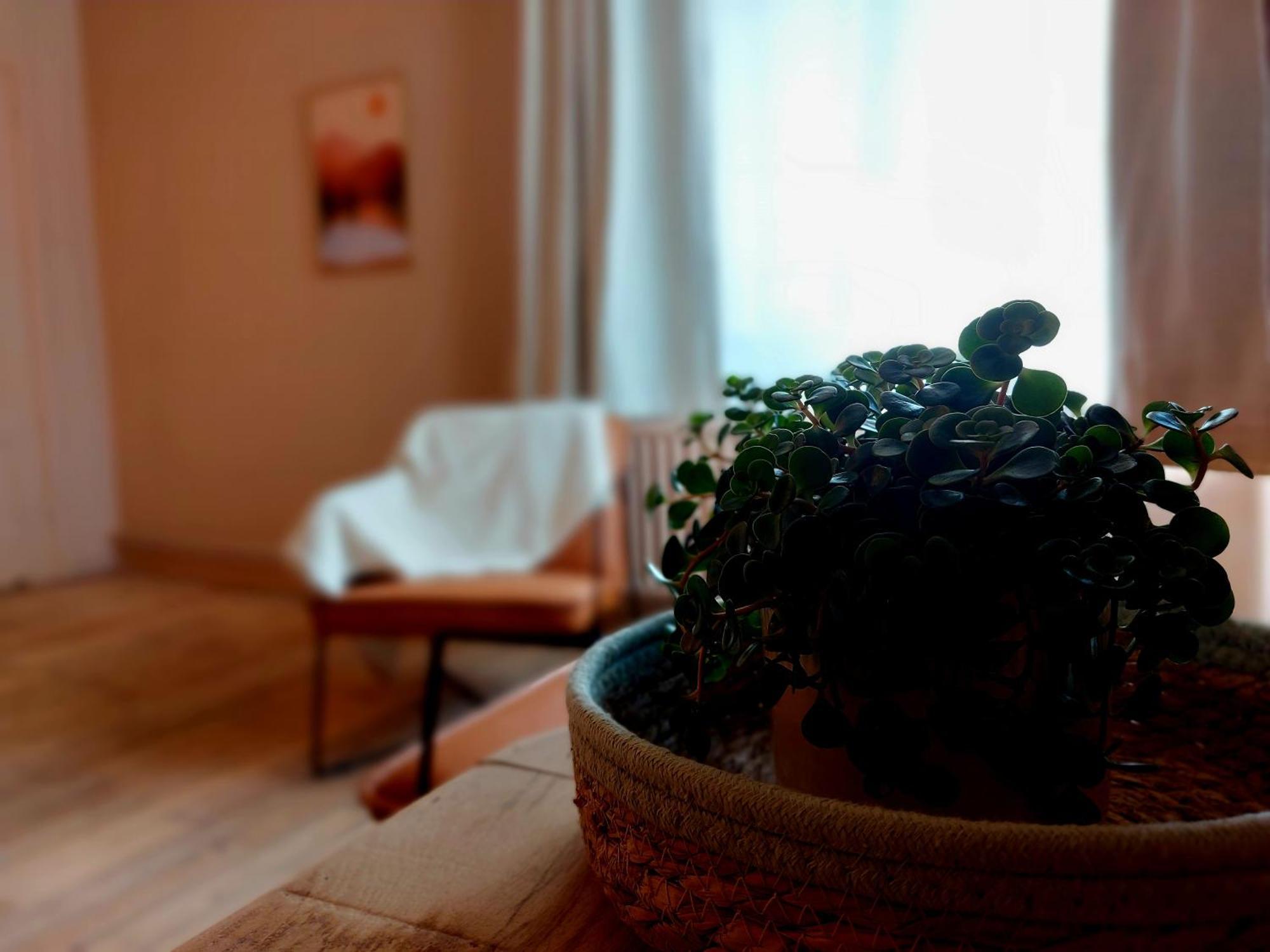 Mydeer Hotell Malmedy Eksteriør bilde